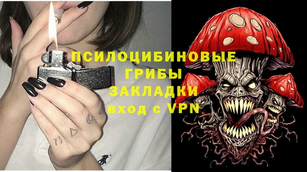 спиды Алексеевка