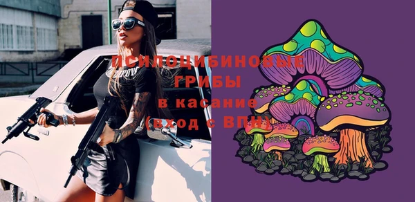 спиды Алексеевка