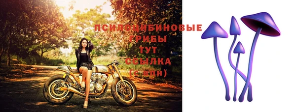 героин Алзамай