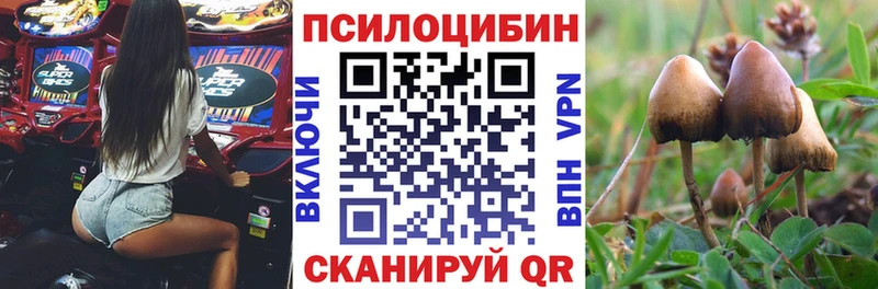 дарнет шоп  Николаевск  Галлюциногенные грибы Cubensis 